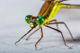 Fresh Eyes on Old Code_ AI and Open Source Security
